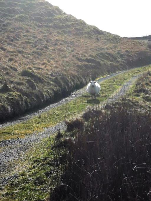 Zipworld Waterfalls Eryri Dogs Welcome 3 Bed Sleeps 5 Blaenau Ffestiniog Exteriér fotografie